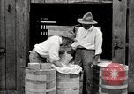 Image of calcium arsenate United States USA, 1921, second 54 stock footage video 65675028396