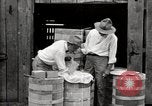 Image of calcium arsenate United States USA, 1921, second 55 stock footage video 65675028396