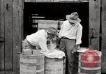 Image of calcium arsenate United States USA, 1921, second 56 stock footage video 65675028396