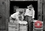 Image of calcium arsenate United States USA, 1921, second 57 stock footage video 65675028396