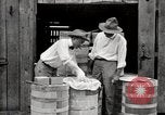 Image of calcium arsenate United States USA, 1921, second 58 stock footage video 65675028396