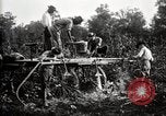 Image of dusting machines United States USA, 1921, second 22 stock footage video 65675028397
