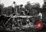 Image of dusting machines United States USA, 1921, second 24 stock footage video 65675028397