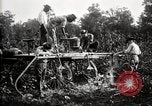 Image of dusting machines United States USA, 1921, second 25 stock footage video 65675028397