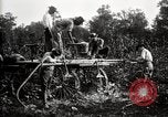 Image of dusting machines United States USA, 1921, second 27 stock footage video 65675028397
