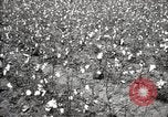 Image of government expert United States USA, 1921, second 27 stock footage video 65675028398