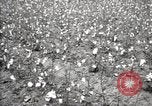 Image of government expert United States USA, 1921, second 29 stock footage video 65675028398