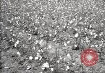 Image of government expert United States USA, 1921, second 30 stock footage video 65675028398
