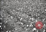 Image of government expert United States USA, 1921, second 33 stock footage video 65675028398