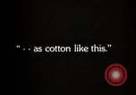 Image of government expert United States USA, 1921, second 36 stock footage video 65675028398