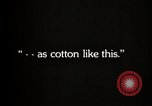 Image of government expert United States USA, 1921, second 37 stock footage video 65675028398