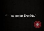 Image of government expert United States USA, 1921, second 38 stock footage video 65675028398