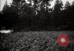 Image of government expert United States USA, 1921, second 15 stock footage video 65675028399