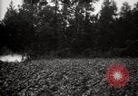Image of government expert United States USA, 1921, second 17 stock footage video 65675028399