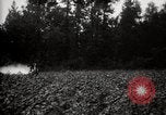Image of government expert United States USA, 1921, second 18 stock footage video 65675028399