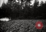 Image of government expert United States USA, 1921, second 19 stock footage video 65675028399