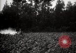 Image of government expert United States USA, 1921, second 21 stock footage video 65675028399