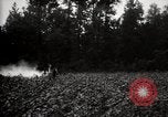 Image of government expert United States USA, 1921, second 22 stock footage video 65675028399