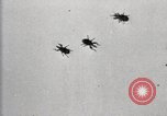 Image of government expert United States USA, 1921, second 25 stock footage video 65675028399