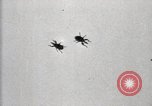 Image of government expert United States USA, 1921, second 26 stock footage video 65675028399