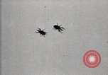 Image of government expert United States USA, 1921, second 28 stock footage video 65675028399