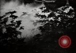 Image of government expert United States USA, 1921, second 52 stock footage video 65675028399