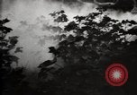 Image of government expert United States USA, 1921, second 53 stock footage video 65675028399
