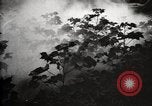 Image of government expert United States USA, 1921, second 54 stock footage video 65675028399