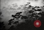 Image of government expert United States USA, 1921, second 56 stock footage video 65675028399