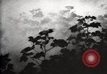 Image of government expert United States USA, 1921, second 57 stock footage video 65675028399