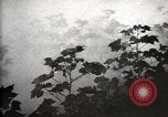 Image of government expert United States USA, 1921, second 58 stock footage video 65675028399