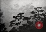 Image of government expert United States USA, 1921, second 59 stock footage video 65675028399
