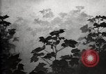 Image of government expert United States USA, 1921, second 60 stock footage video 65675028399