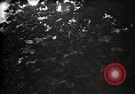 Image of government expert United States USA, 1921, second 62 stock footage video 65675028399
