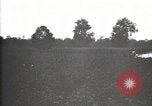 Image of government expert United States USA, 1921, second 7 stock footage video 65675028400