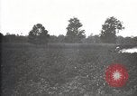 Image of government expert United States USA, 1921, second 8 stock footage video 65675028400