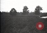 Image of government expert United States USA, 1921, second 9 stock footage video 65675028400