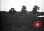 Image of government expert United States USA, 1921, second 10 stock footage video 65675028400
