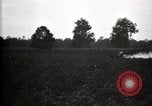 Image of government expert United States USA, 1921, second 11 stock footage video 65675028400