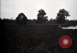 Image of government expert United States USA, 1921, second 12 stock footage video 65675028400