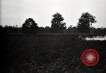 Image of government expert United States USA, 1921, second 13 stock footage video 65675028400