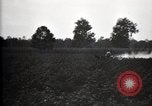 Image of government expert United States USA, 1921, second 15 stock footage video 65675028400