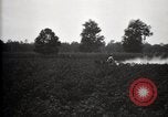 Image of government expert United States USA, 1921, second 17 stock footage video 65675028400