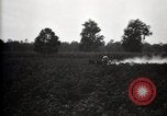 Image of government expert United States USA, 1921, second 18 stock footage video 65675028400