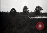 Image of government expert United States USA, 1921, second 19 stock footage video 65675028400