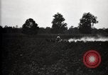 Image of government expert United States USA, 1921, second 21 stock footage video 65675028400
