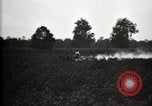 Image of government expert United States USA, 1921, second 22 stock footage video 65675028400