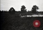 Image of government expert United States USA, 1921, second 23 stock footage video 65675028400