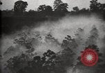 Image of government expert United States USA, 1921, second 30 stock footage video 65675028400
