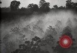 Image of government expert United States USA, 1921, second 34 stock footage video 65675028400